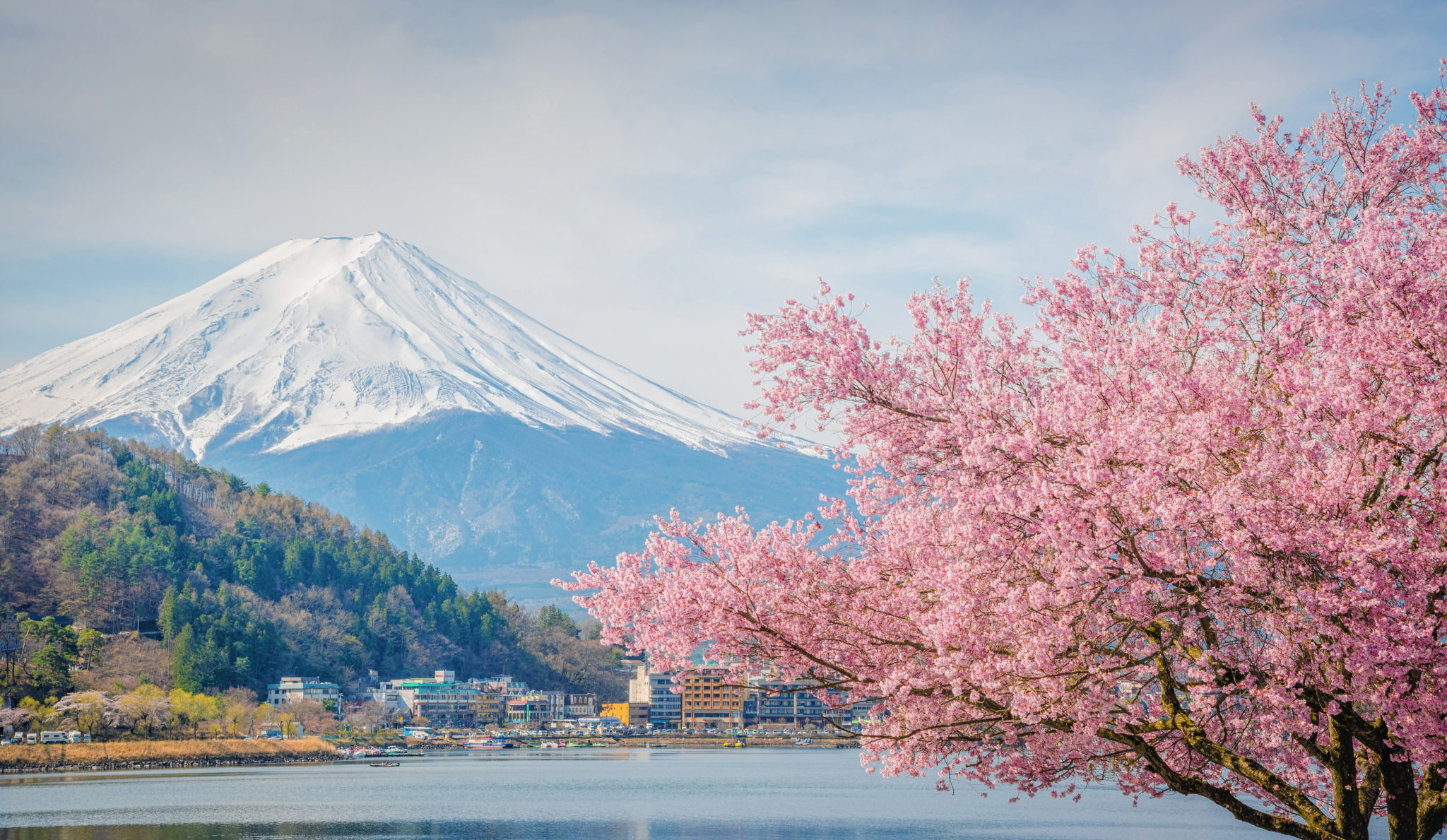 difference-between-nippon-and-nihon-japan-luggage-express