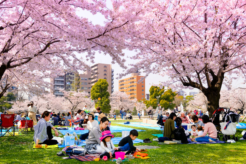 Can You Marry Your Cousin In Japan 