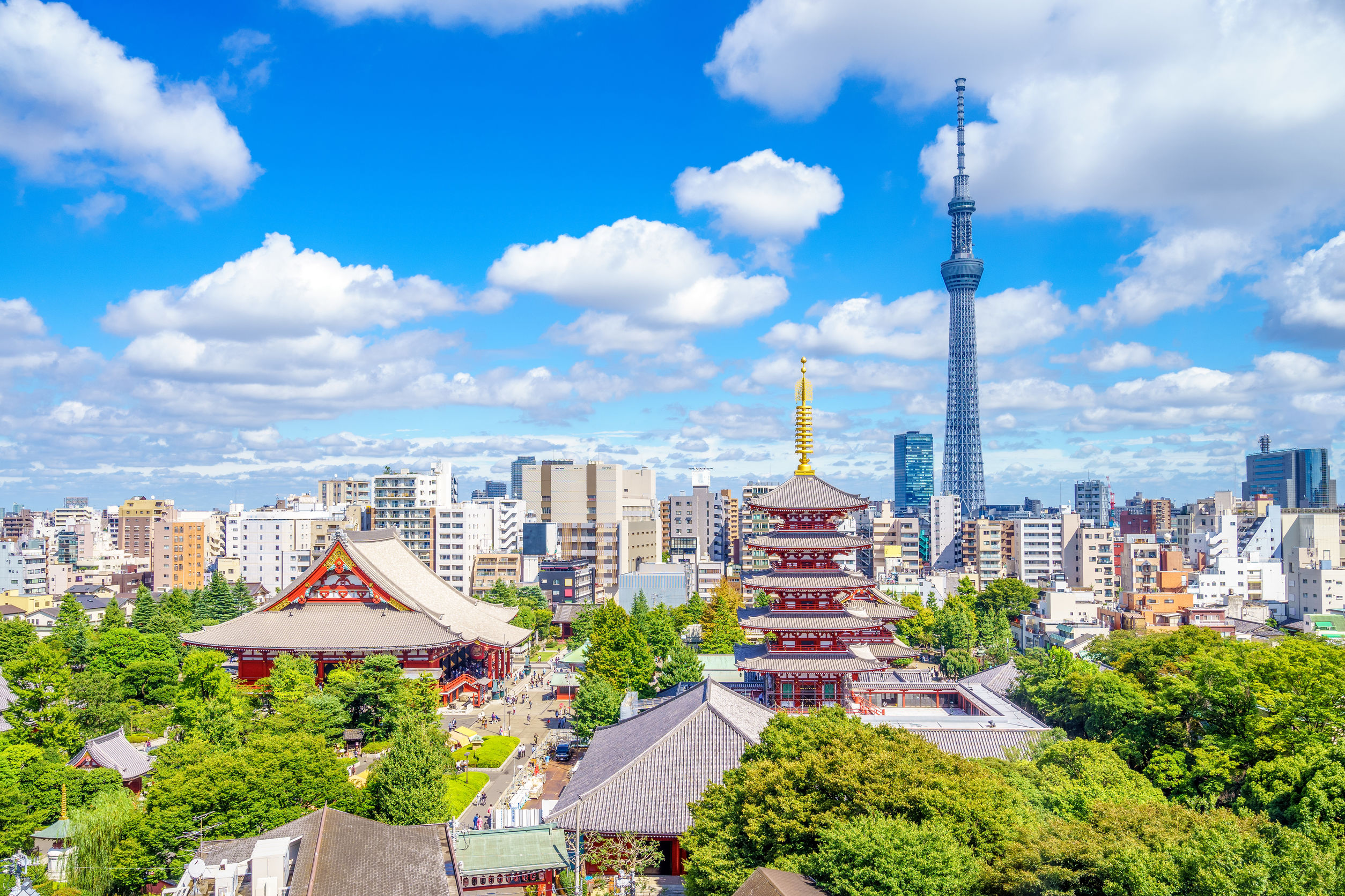 bringing medicine to Japan