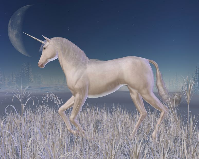 Unicorn